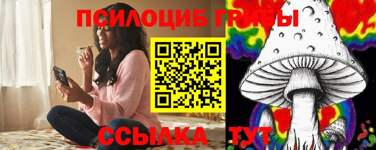 Галлюциногенные грибы прущие грибы  Вход с VPN  Белореченск  Галлюциногенные грибы Psilocybine cubensis 